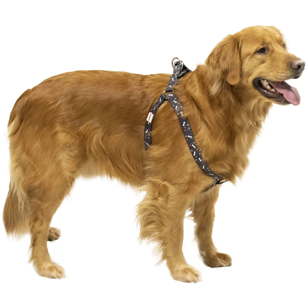 Black Nylon Pet Harness 1