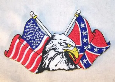 Eagle Flags Patch 1