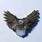 Flying Eagle Hat / Jacket Pin 1