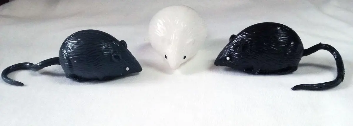 Squishy Splat Mouse / Rat 1