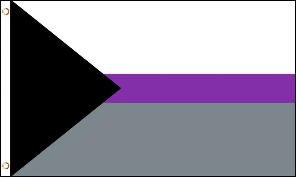 Demisexual Pride (3Ft X 5Ft) Flag 1