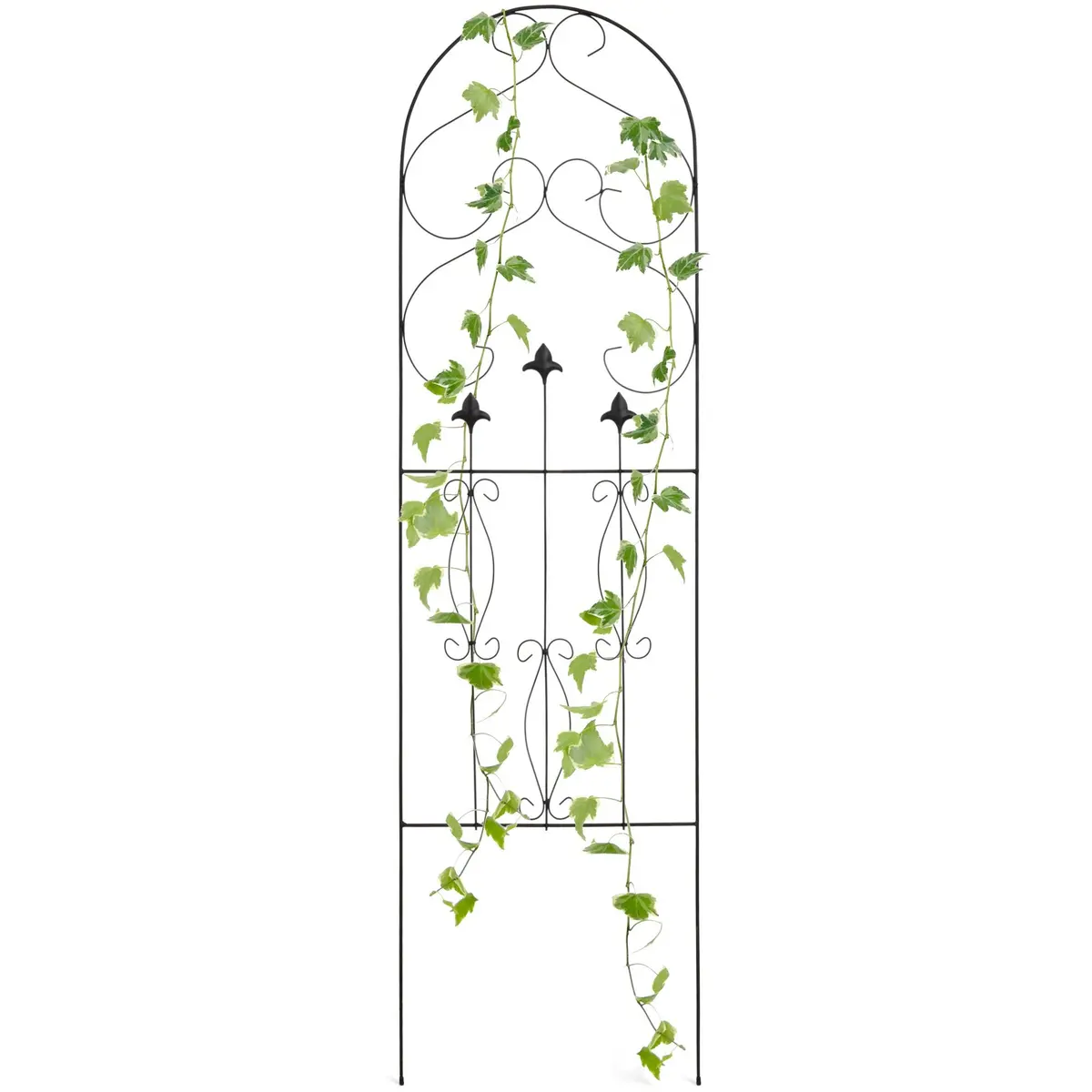 60X18in Iron Arched Garden Trellis Decor Accent W/ Scroll Lattice - Black 1