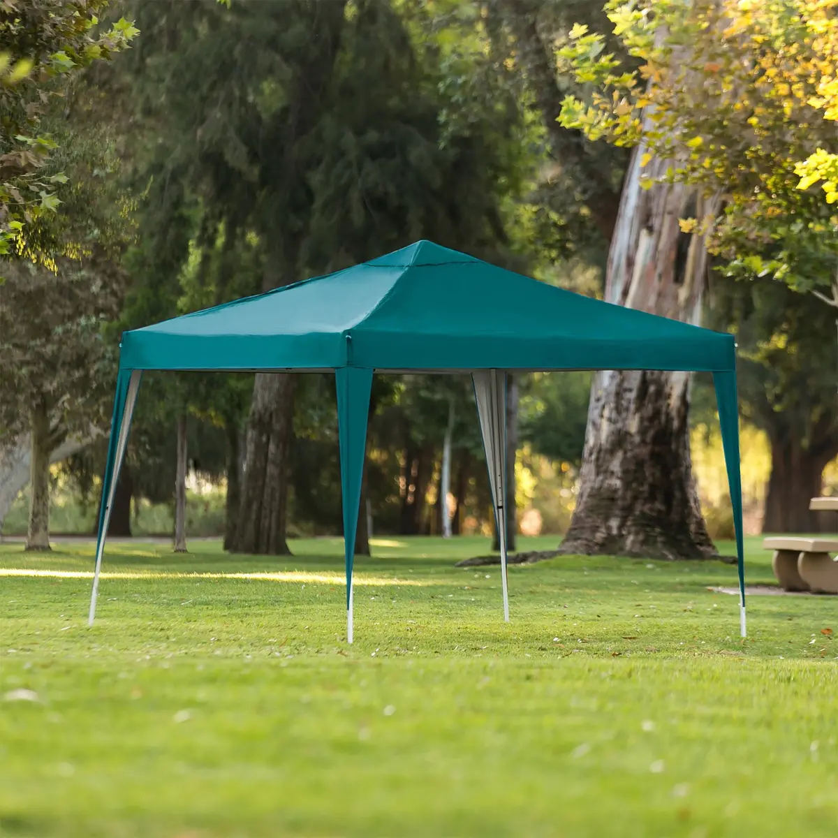 Outdoor Portable Pop Up Canopy Tent W/ Carrying Case, 10X10ft 3