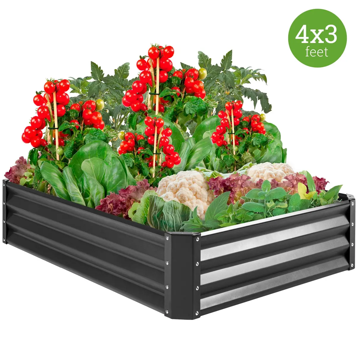 4X3x1ft Outdoor Metal Raised Garden Bed For Vegetables, Flowers, Herbs 1