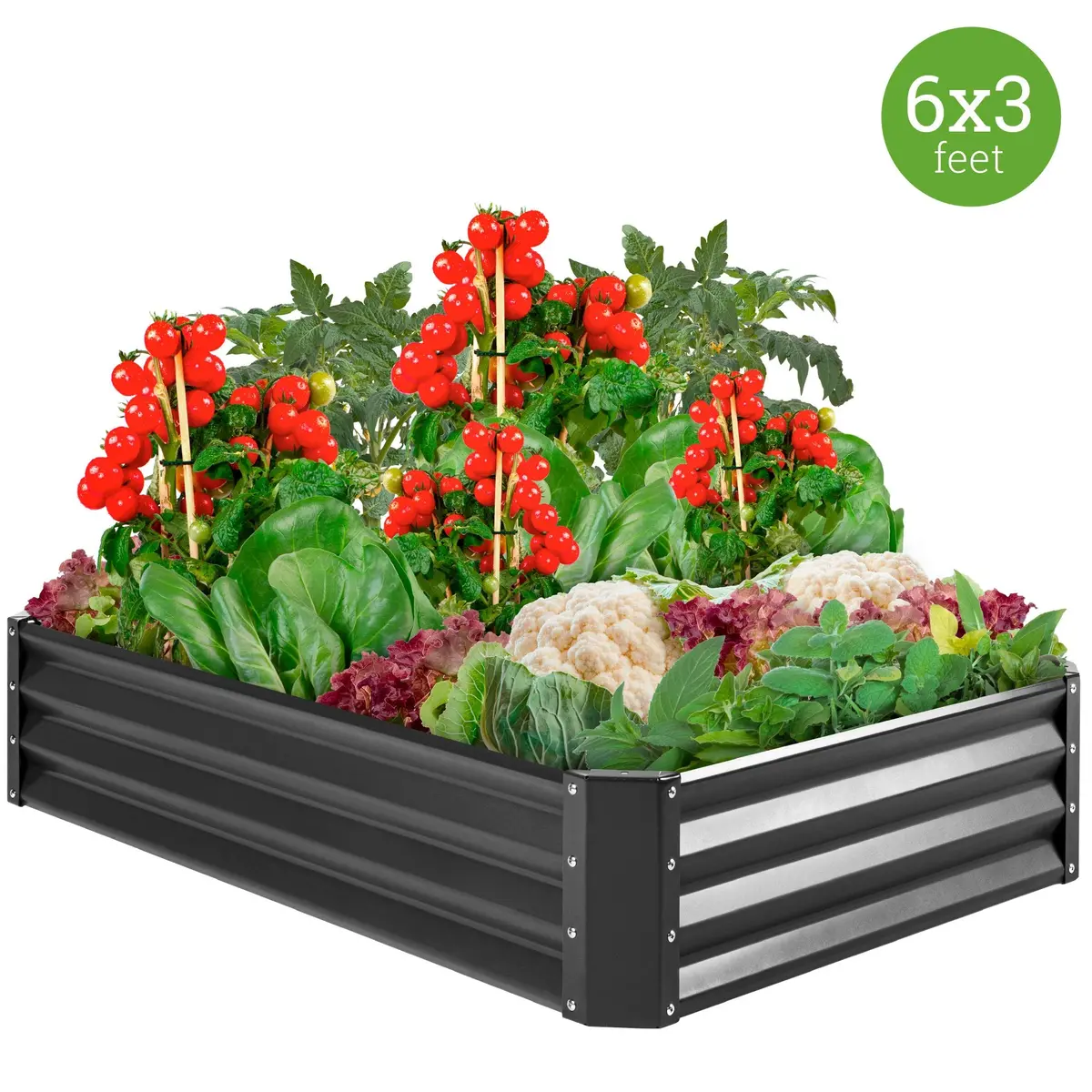 Outdoor Metal Raised Garden Bed For Vegetables, Flowers, Herbs - 6X3x1ft 1