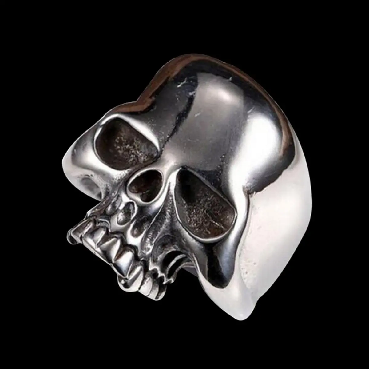 Polished Half-Skull 1