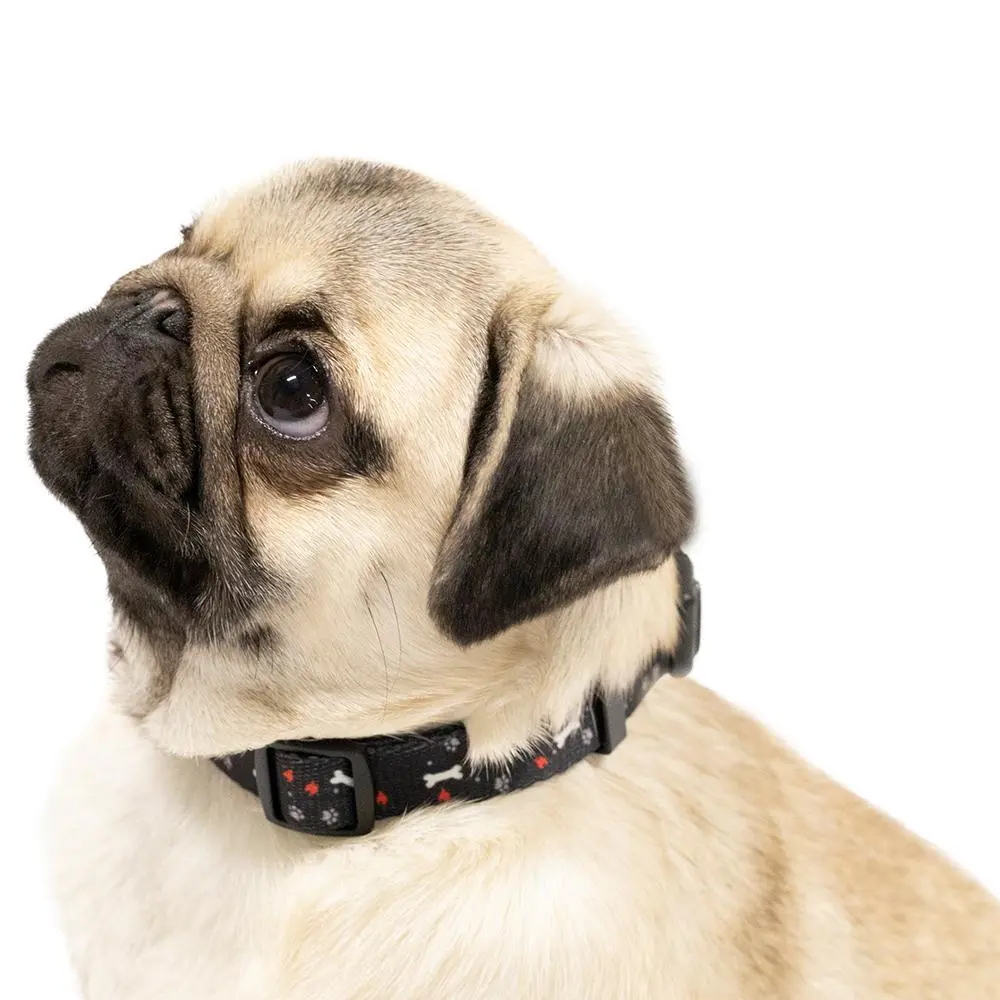 Black Nylon Pet Collar 1