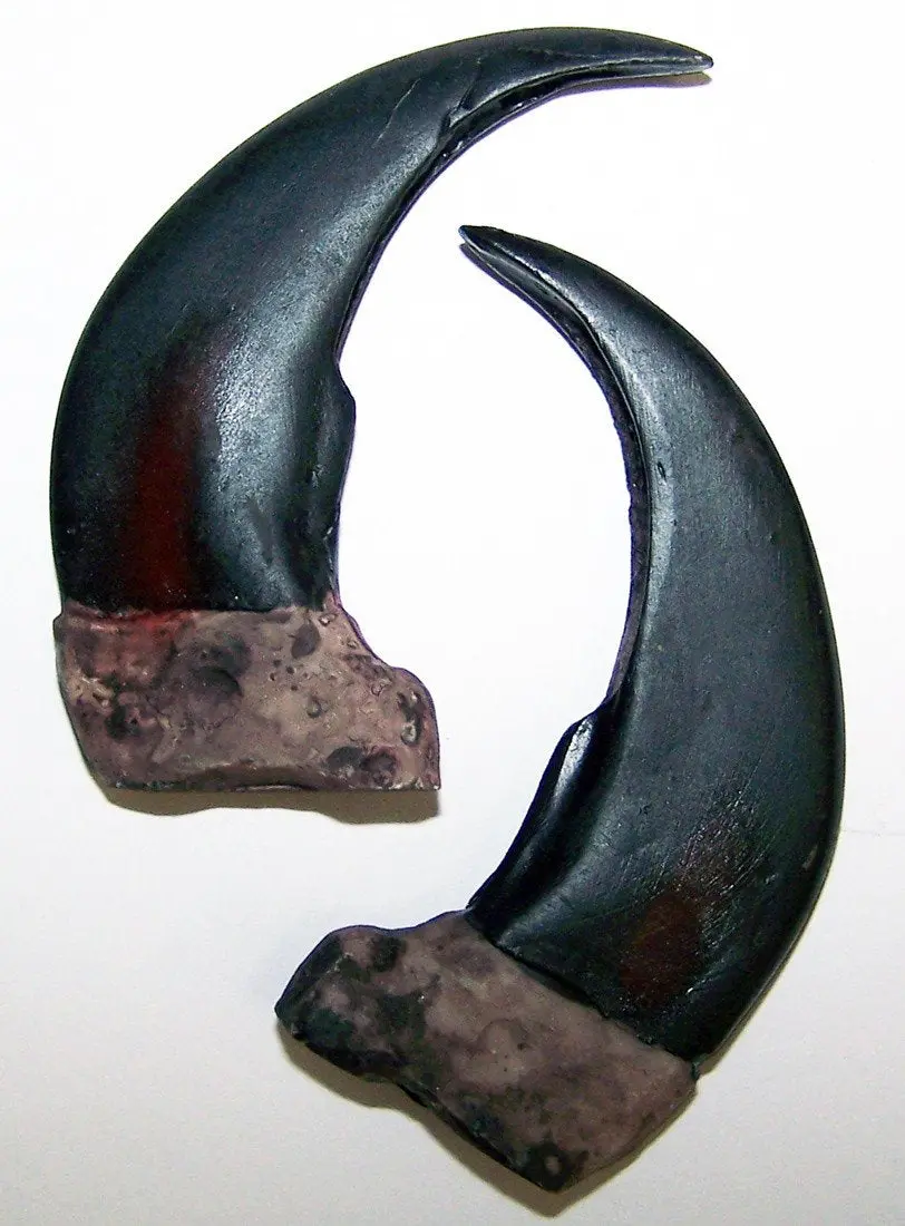 Large 3 Inch Grizzly Bear Claw Replicas 1