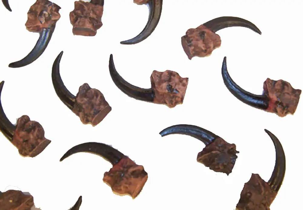 Replica Eagle Claws 1