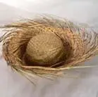 Hawaiian Beach Comber Hats 1