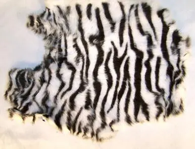 Zebra  Rabbit Skin Pelt 1