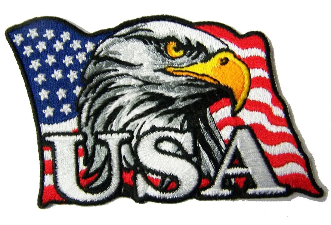 Usa Flag Eagle Head 4 Inch Embroidered Patch 1