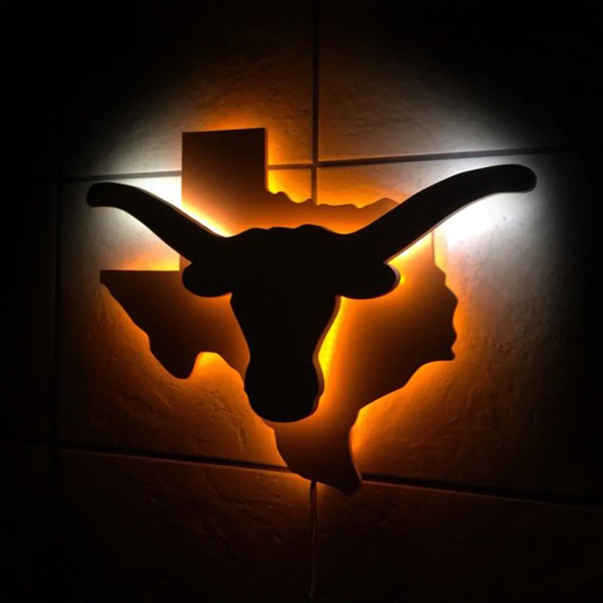 Illuminated Longhorn Texas Sign 1