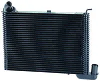 1965 396 Early Restoration Radiator 1