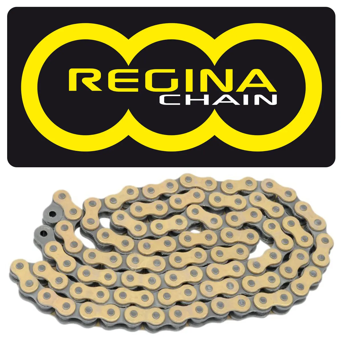Regina 428 Heavy Duty Gold Trials Chain 134 Link 1