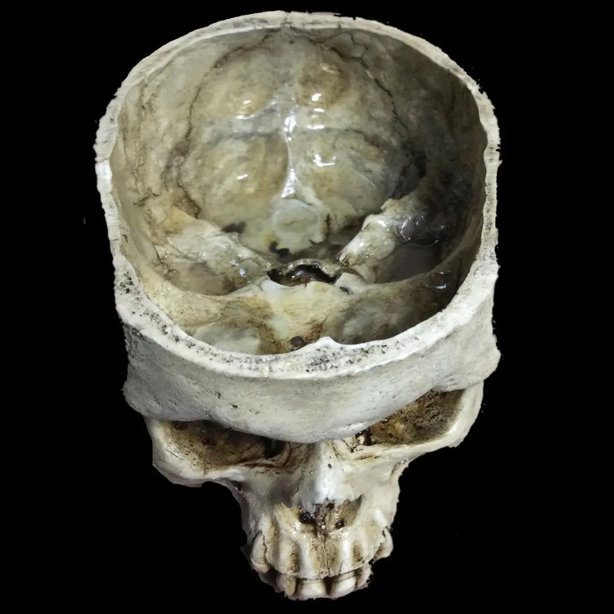 Skull Of Thine Enemy Bowl 1
