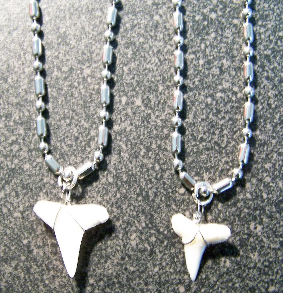 Stainless Steel Ball Chain Necklace With Wire Wrapped Real Shark Tooth Pendant 1