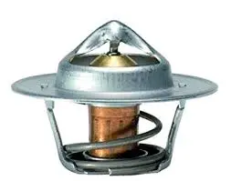 Thermostat 180  V8 1